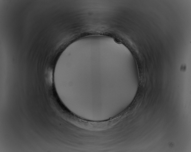 X0000101160027200807181410