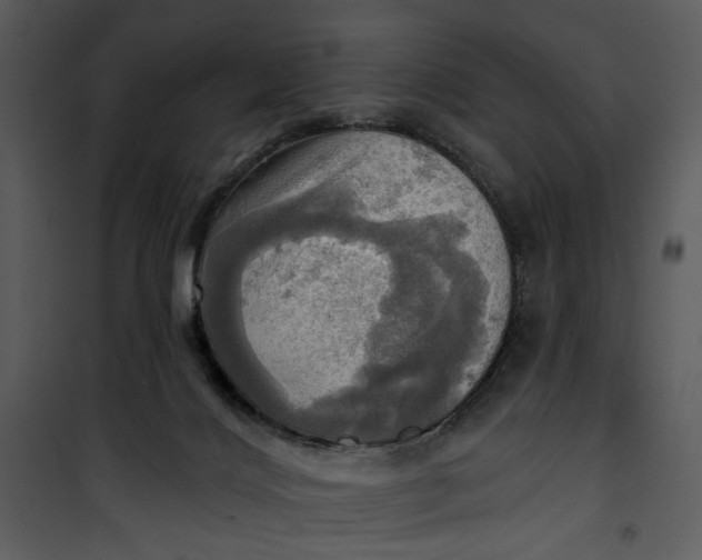 X0000101160028200807181409
