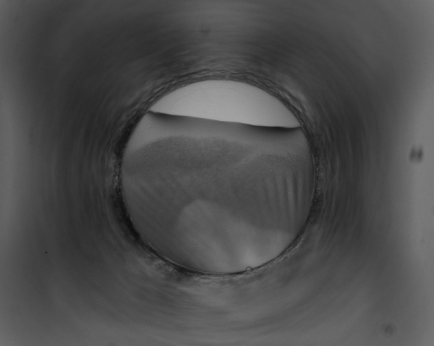 X0000101160029200807181409