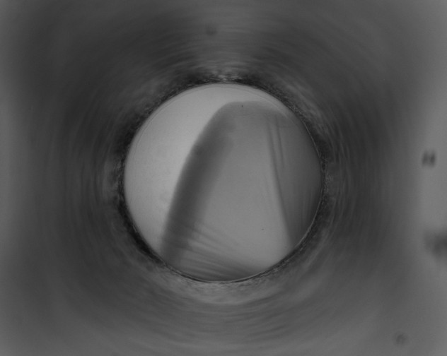 X0000101160030200807181409