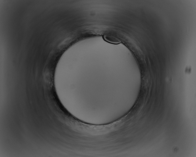 X0000101160031200807181409