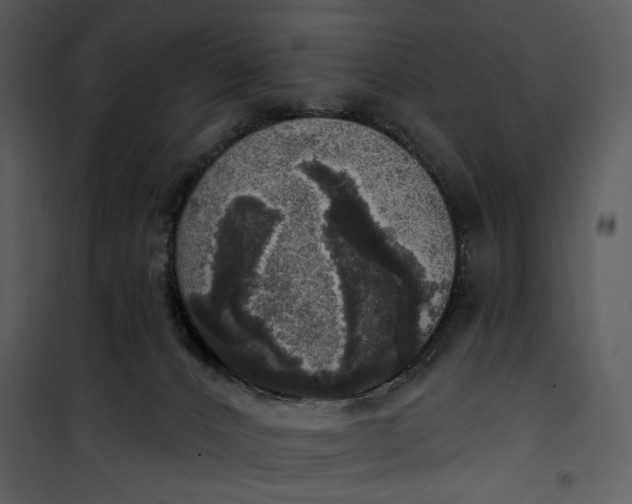 X0000101160032200807181409