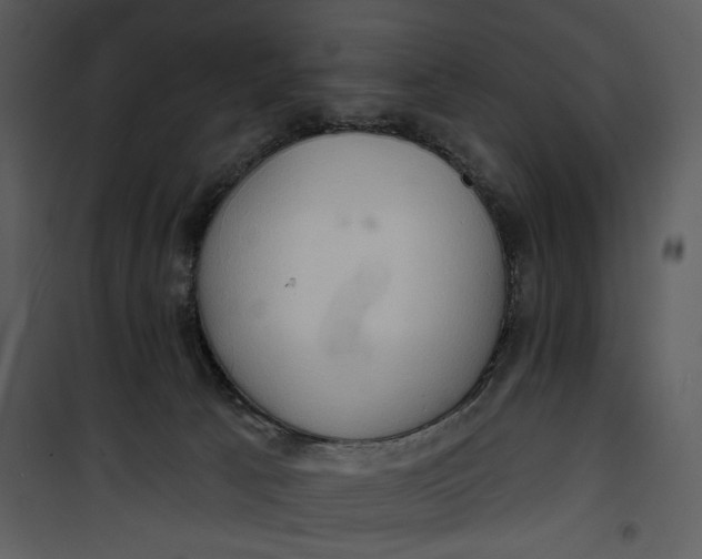 X0000101160033200807181409