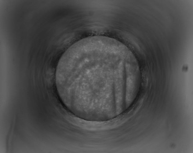 X0000101160034200807181409
