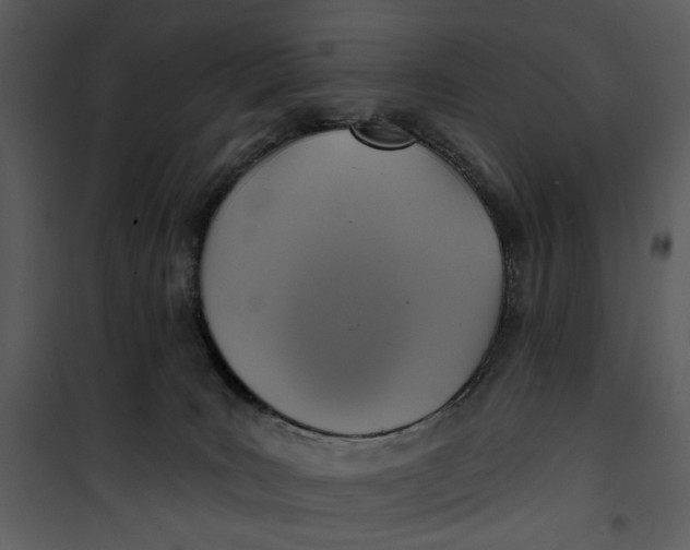 X0000101160035200807181409