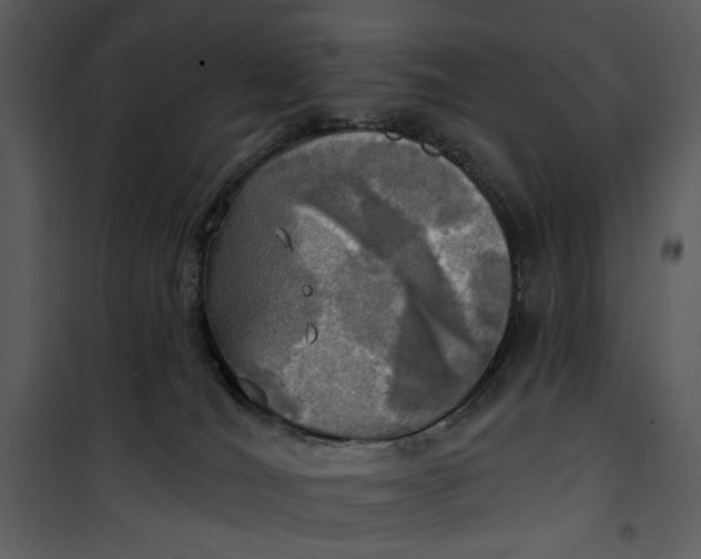 X0000101160036200807181409
