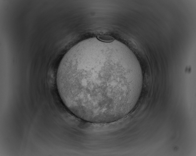 X0000101160037200807181409