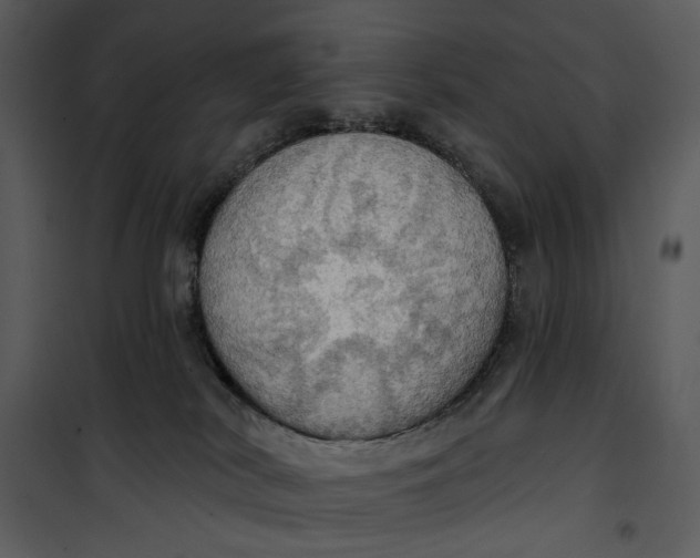 X0000101160038200807181409