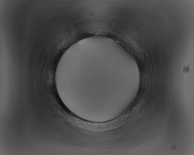 X0000101160039200807181409