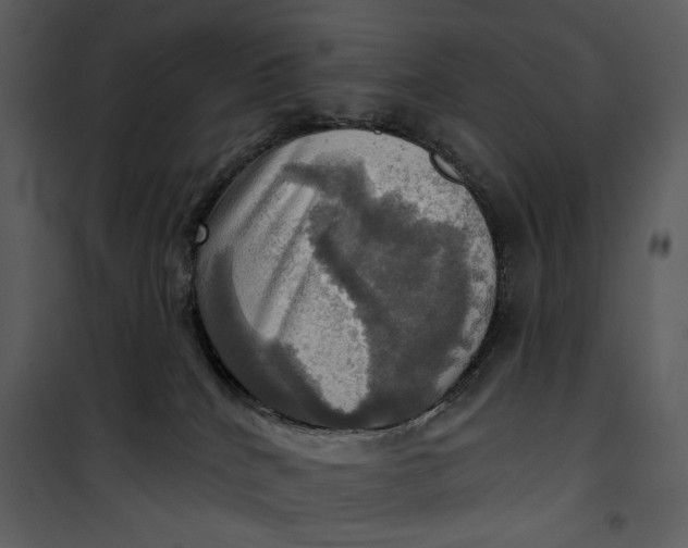 X0000101160040200807181409