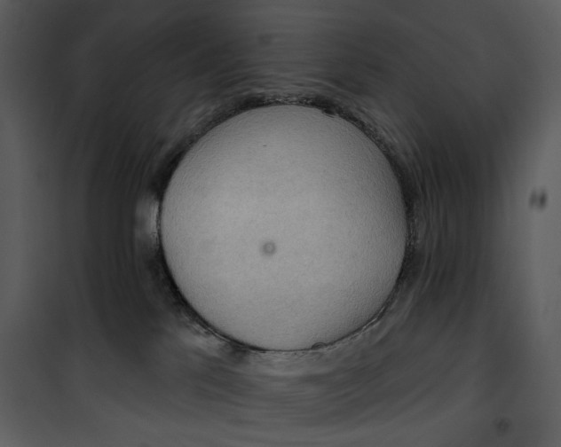 X0000101160041200807181409