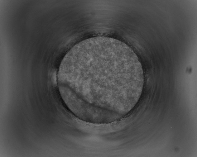X0000101160042200807181409
