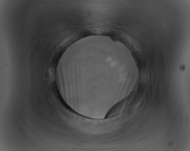 X0000101160043200807181409