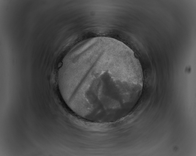 X0000101160044200807181409