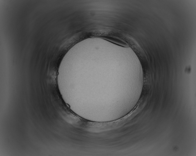 X0000101160045200807181409