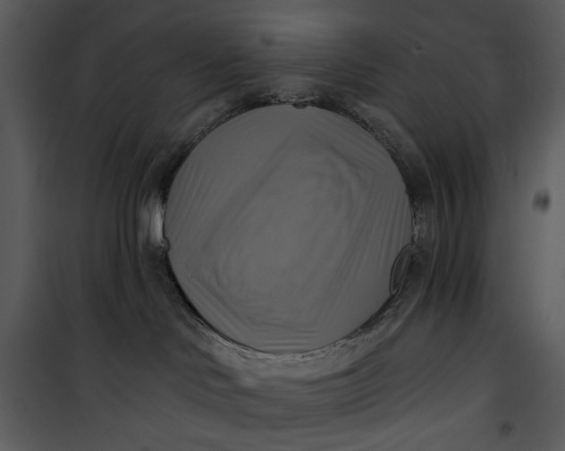 X0000101160046200807181409