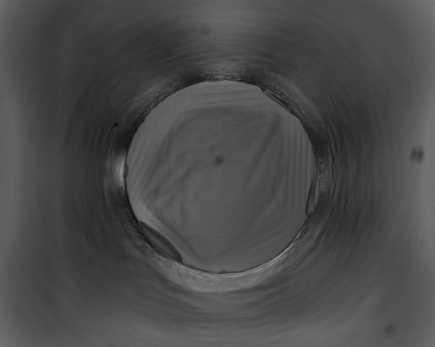 X0000101160047200807181409