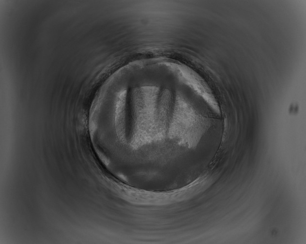 X0000101160048200807181409