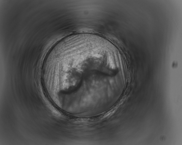 X0000101160049200807181408