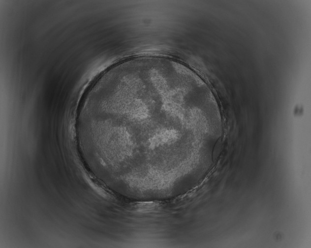 X0000101160050200807181408