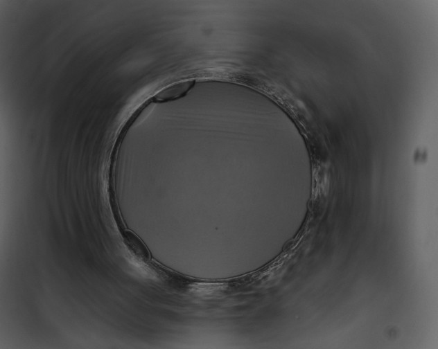 X0000101160051200807181408