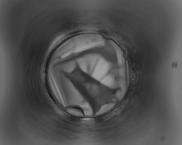 X0000101160053200807181408