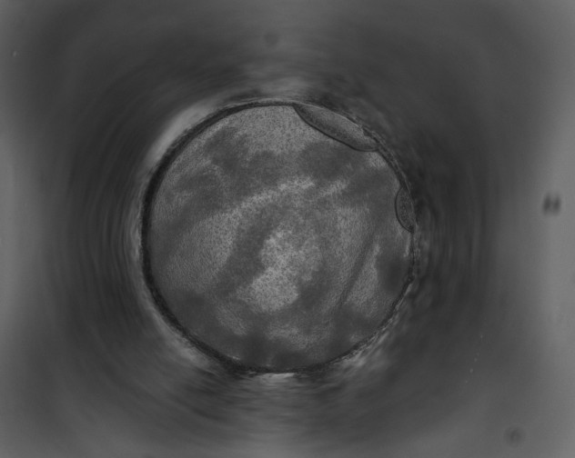 X0000101160054200807181408