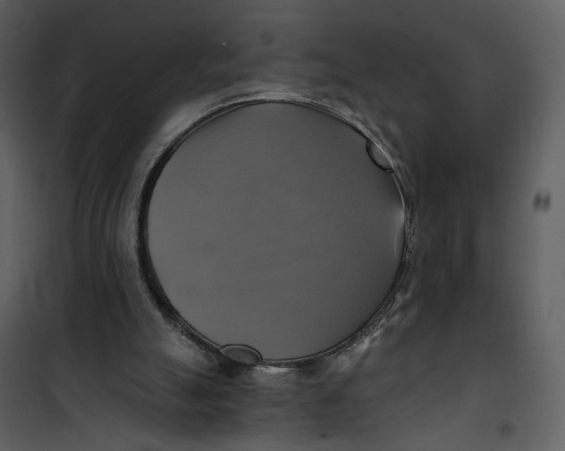X0000101160055200807181408
