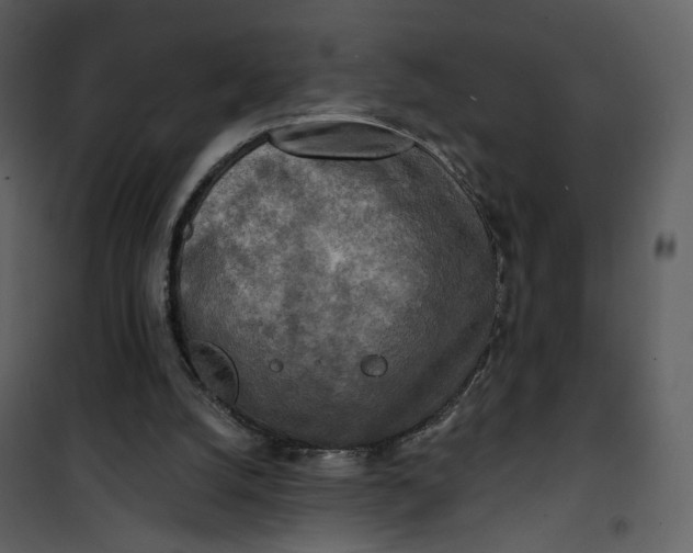 X0000101160056200807181408