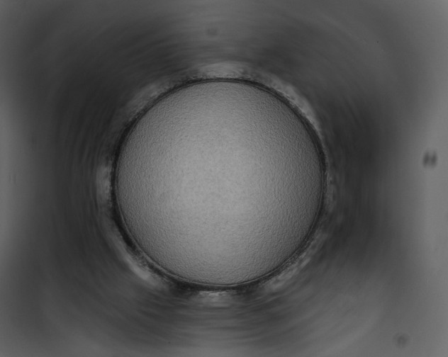 X0000101160057200807181408