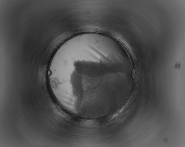 X0000101160058200807181408
