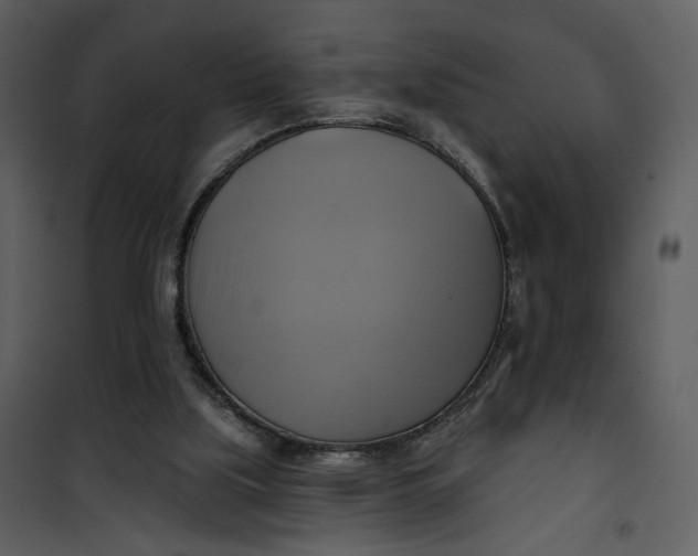 X0000101160059200807181409