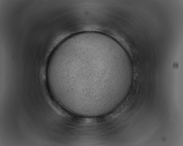 X0000101160060200807181409
