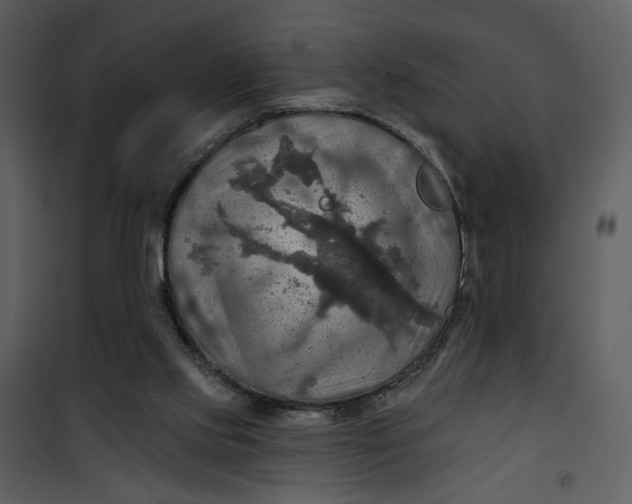 X0000101160061200807181409