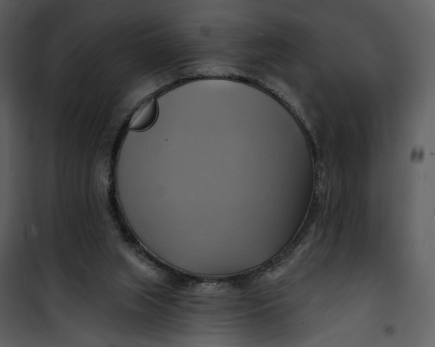 X0000101160063200807181409