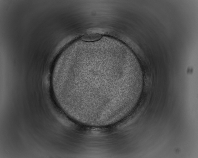 X0000101160064200807181409