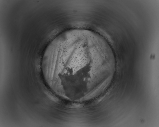 X0000101160065200807181409