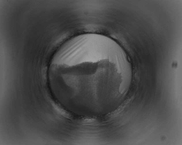 X0000101160066200807181409