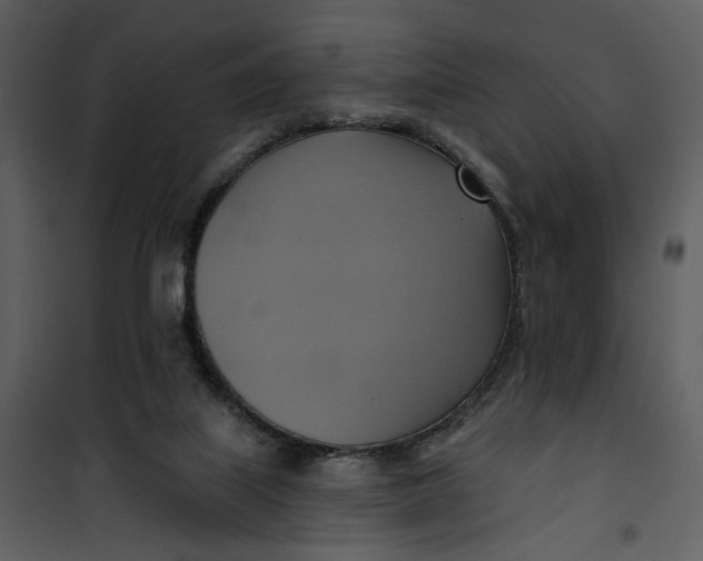 X0000101160067200807181409