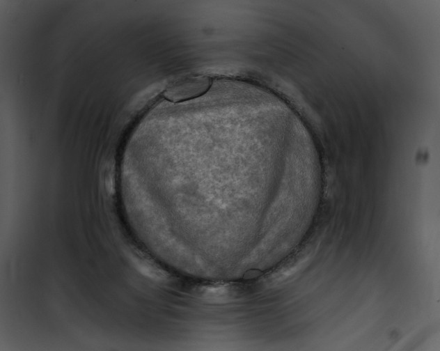 X0000101160068200807181409