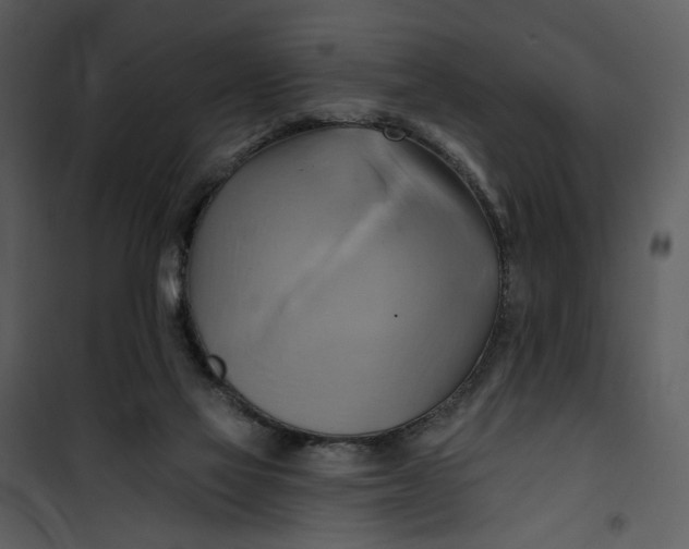 X0000101160069200807181409