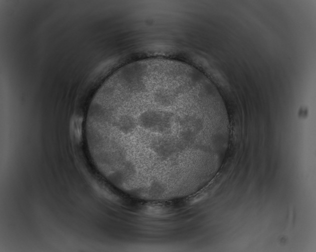 X0000101160070200807181409