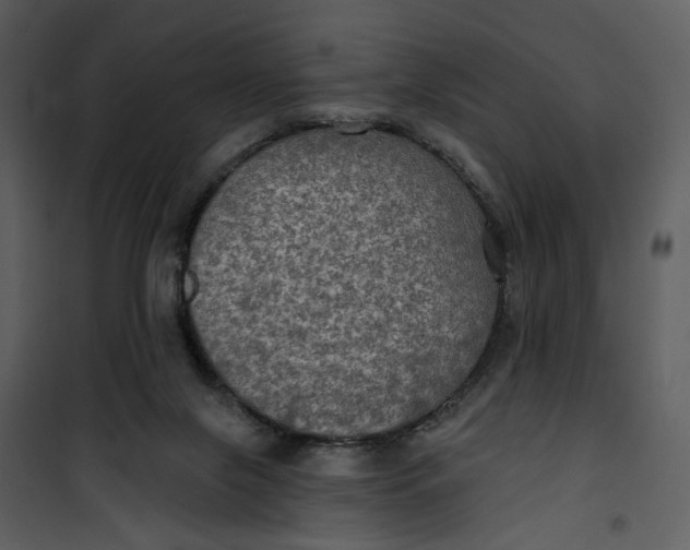 X0000101160071200807181409