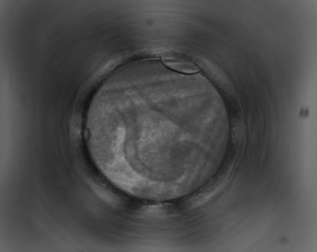 X0000101160072200807181409