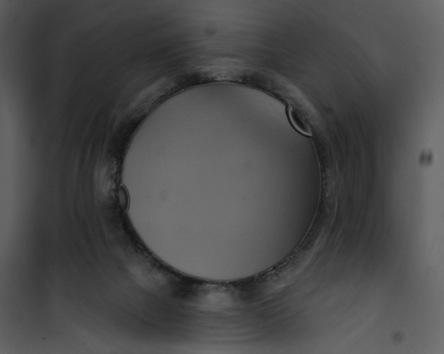 X0000101160073200807181409
