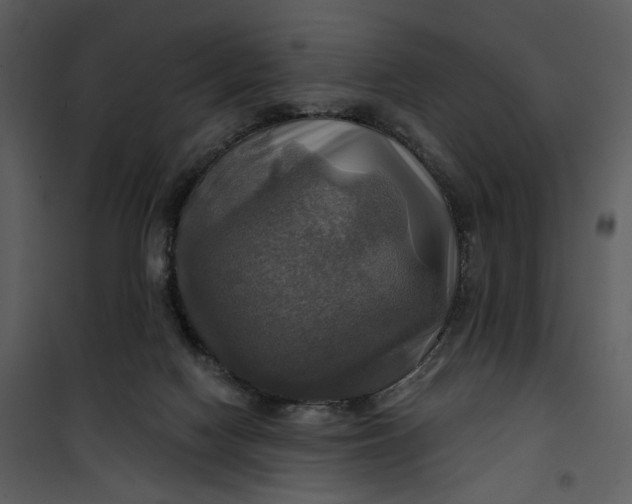 X0000101160074200807181409