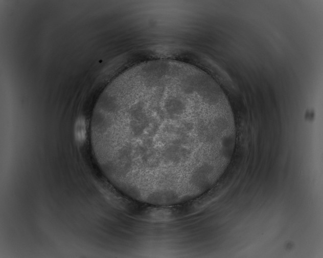 X0000101160075200807181409