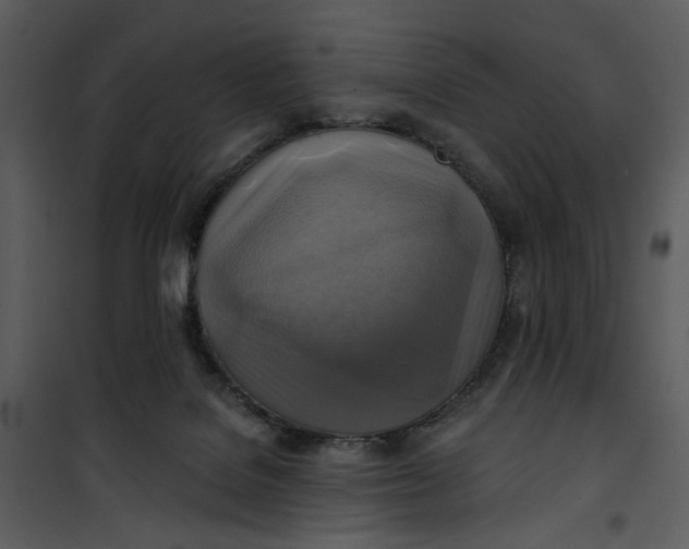 X0000101160076200807181409