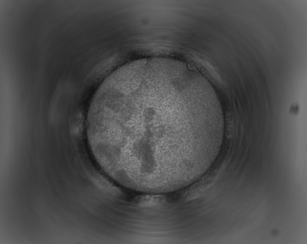 X0000101160077200807181409