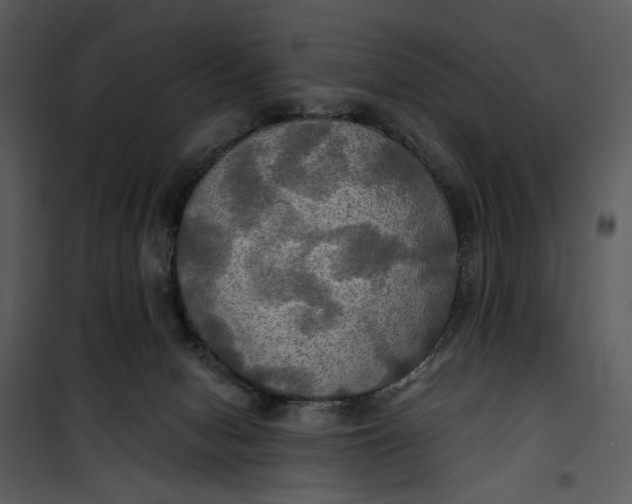 X0000101160078200807181409